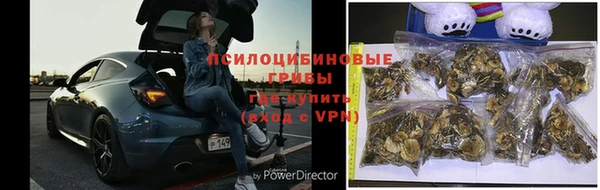 прущая мука Новодвинск