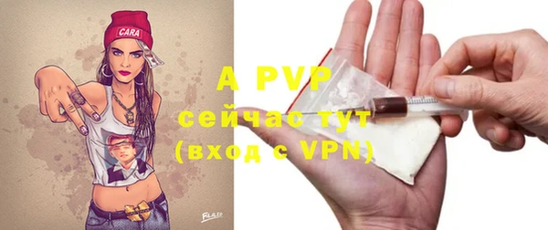 прущая мука Новодвинск