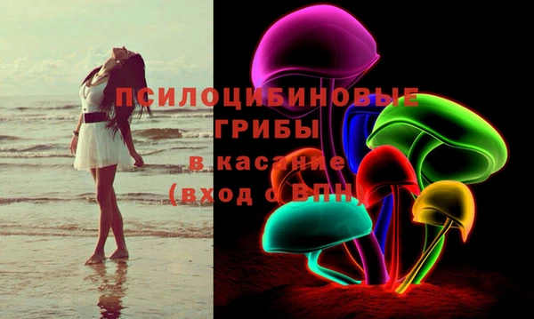 ПСИЛОЦИБИНОВЫЕ ГРИБЫ Новокубанск