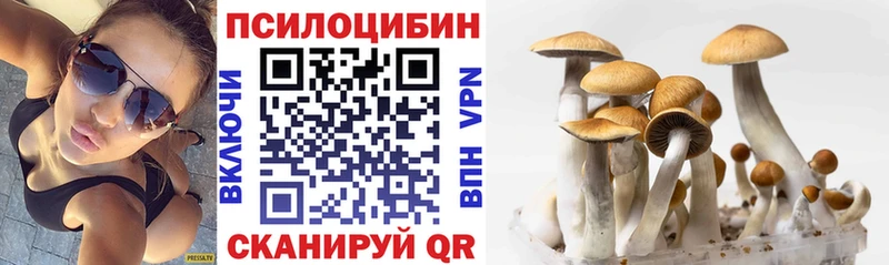 Галлюциногенные грибы Magic Shrooms  Княгинино 