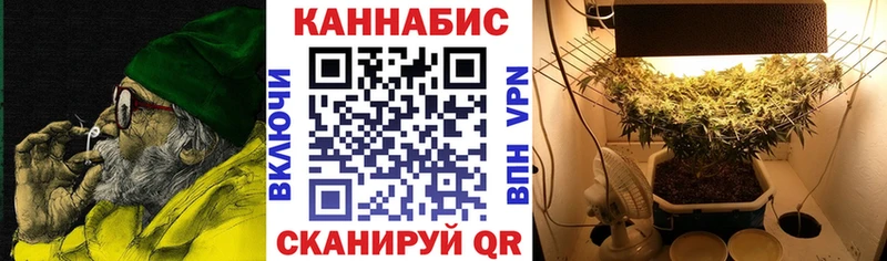 купить закладку  Княгинино  hydra как войти  Конопля White Widow 